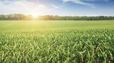 Alternative Facts: How Alternative Asset Classes Are Improving Portfolios Alternative Facts: How Alternative Asset Classes Are Improving Portfolios